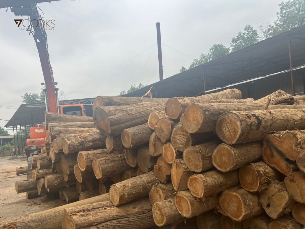 go-teak-la-gi